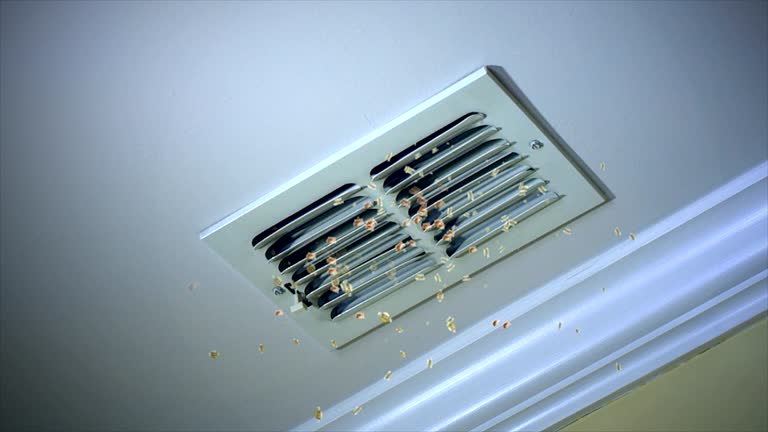 Best Ventilation Cleaning Services  in Helena Valley West Central, MT